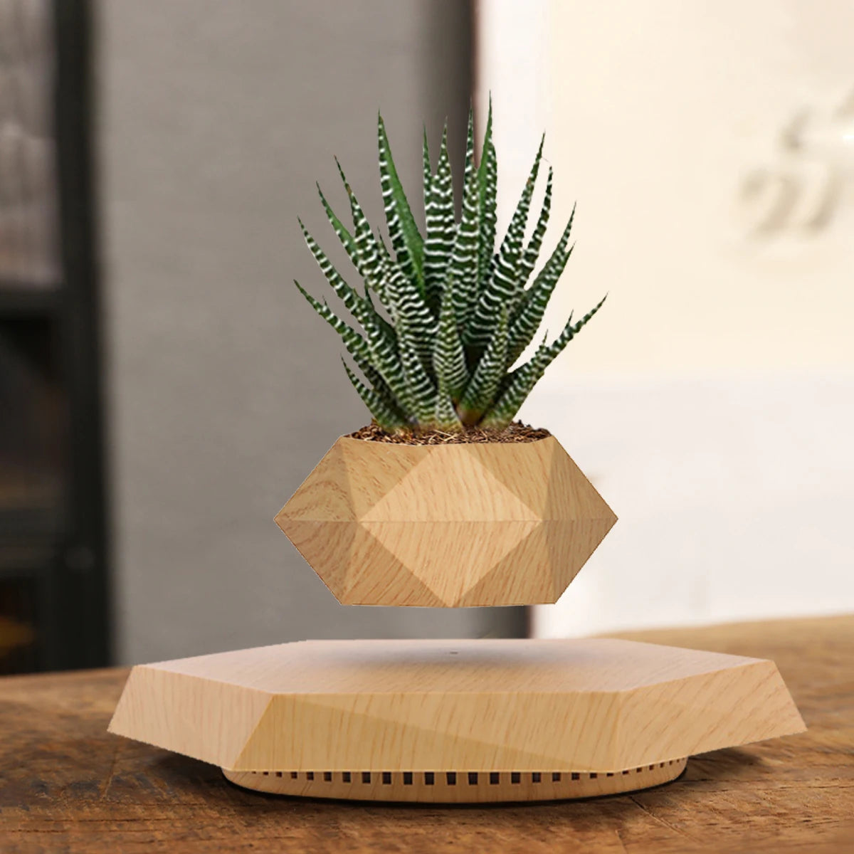 Indoor Plant Pot Stand Small Floating Plant Magnetic Levitation Flower Pots for Gardening Decoration