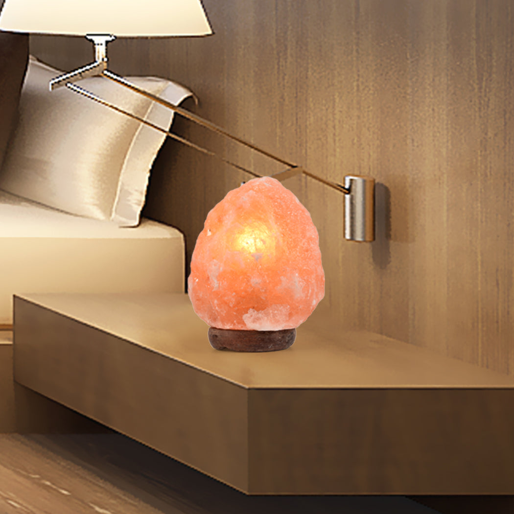 1-2 kg Himalayan Salt Lamp Rock Crystal Natural Light Dimmer Switch Cord Globes