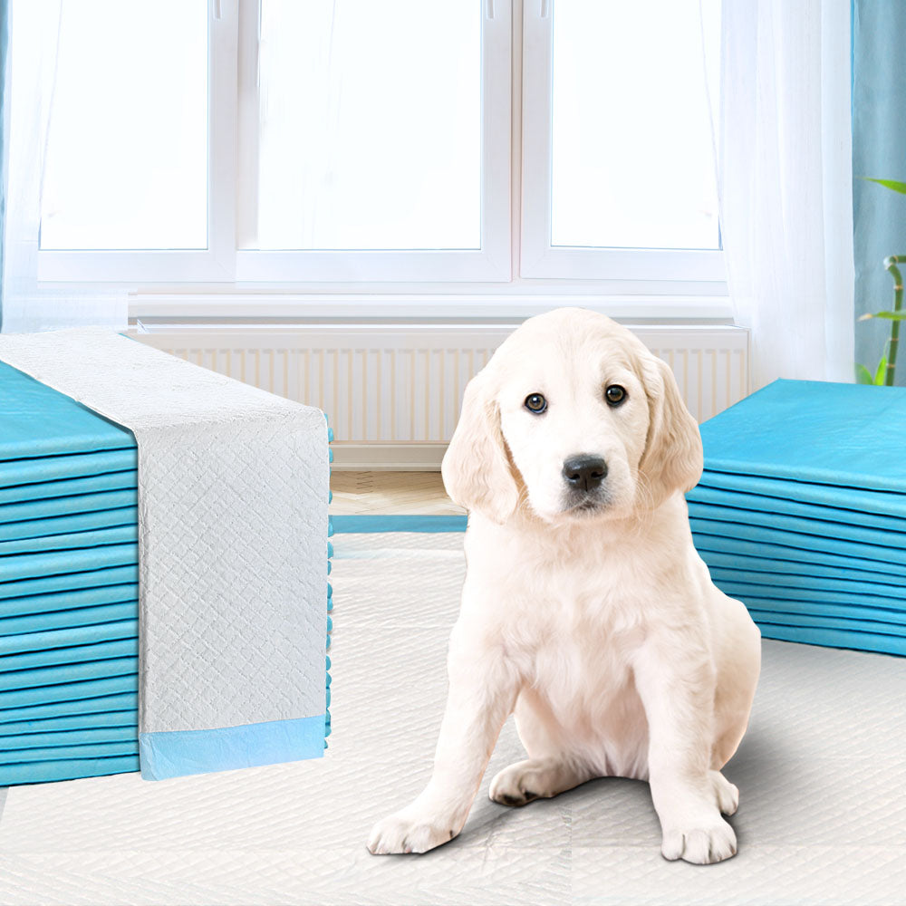 200pcs Puppy Dog Pet Training Pads Cat Toilet 60 x 60cm Super Absorben INSPIRE KOOL